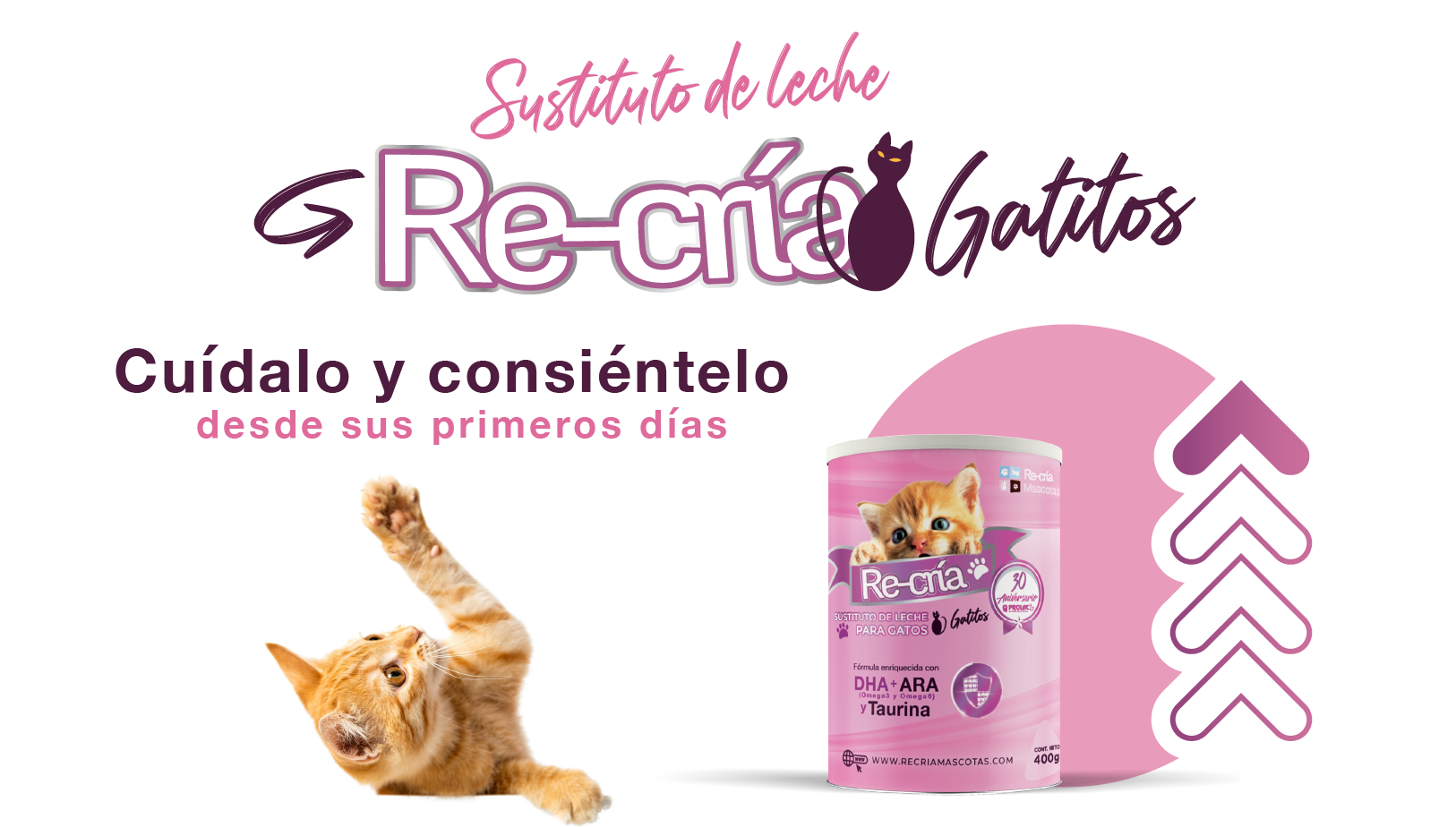 Recría Gatos - Sustituto de Leche para Gatos