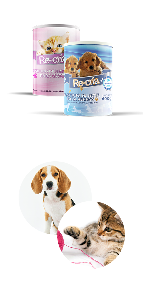 Recría Gatos - Sustituto de Leche para Gatos