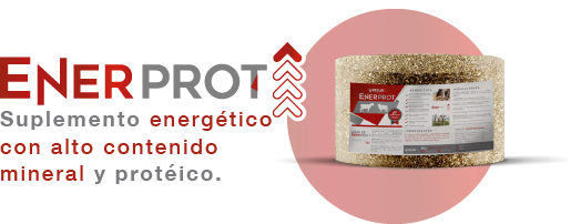 EnerPROT Piedra Mineral para ganado y borregos